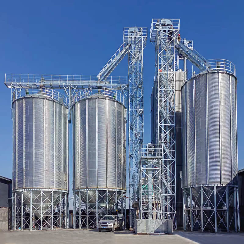 3,000 t grain silo project reference