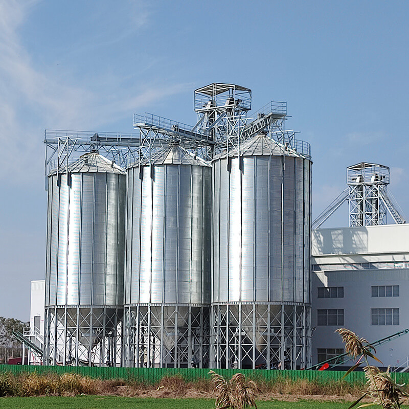 5,000 t grain silo project reference