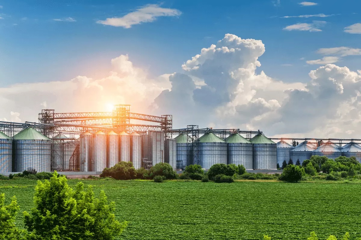 Large commercial grain silo installation