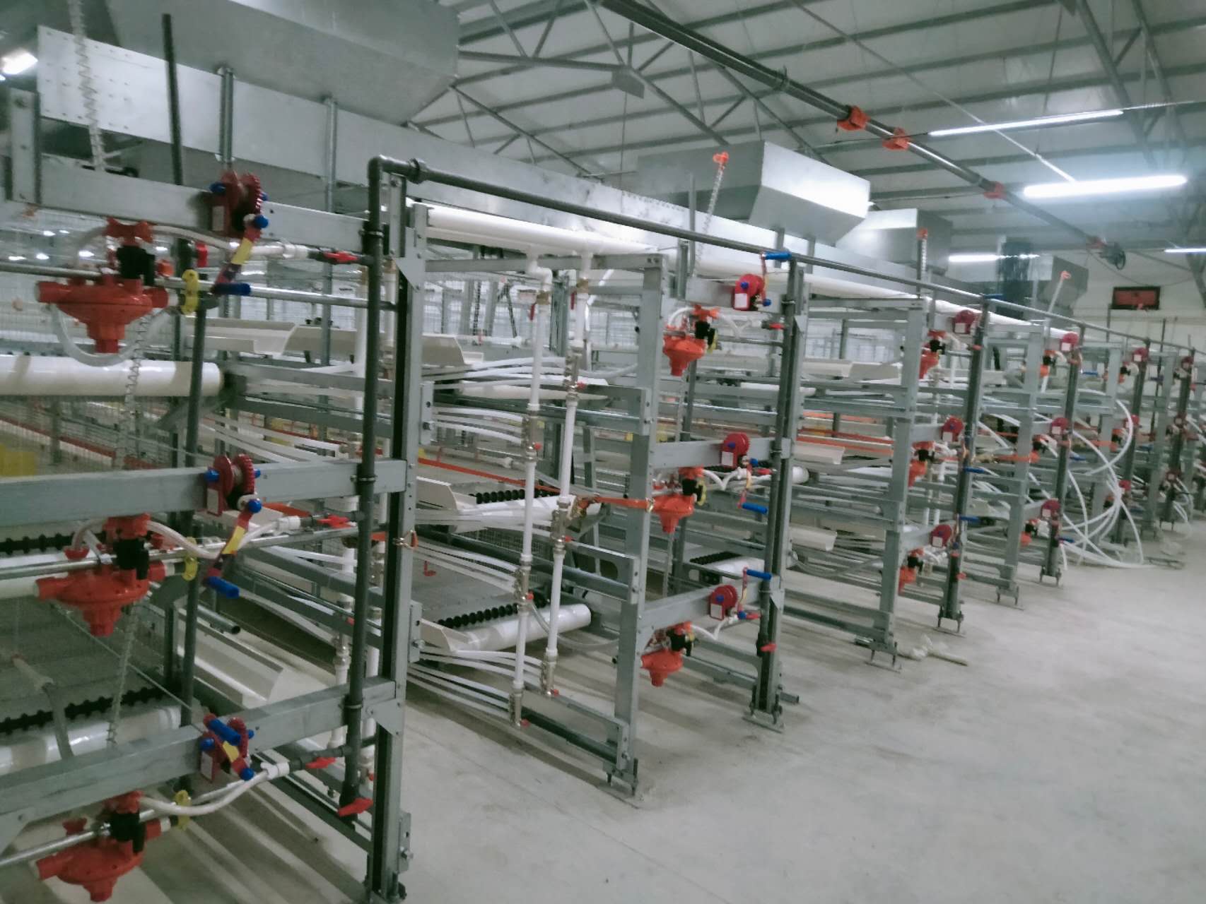 Broiler cage equipment with integrated feeding and drinking lines