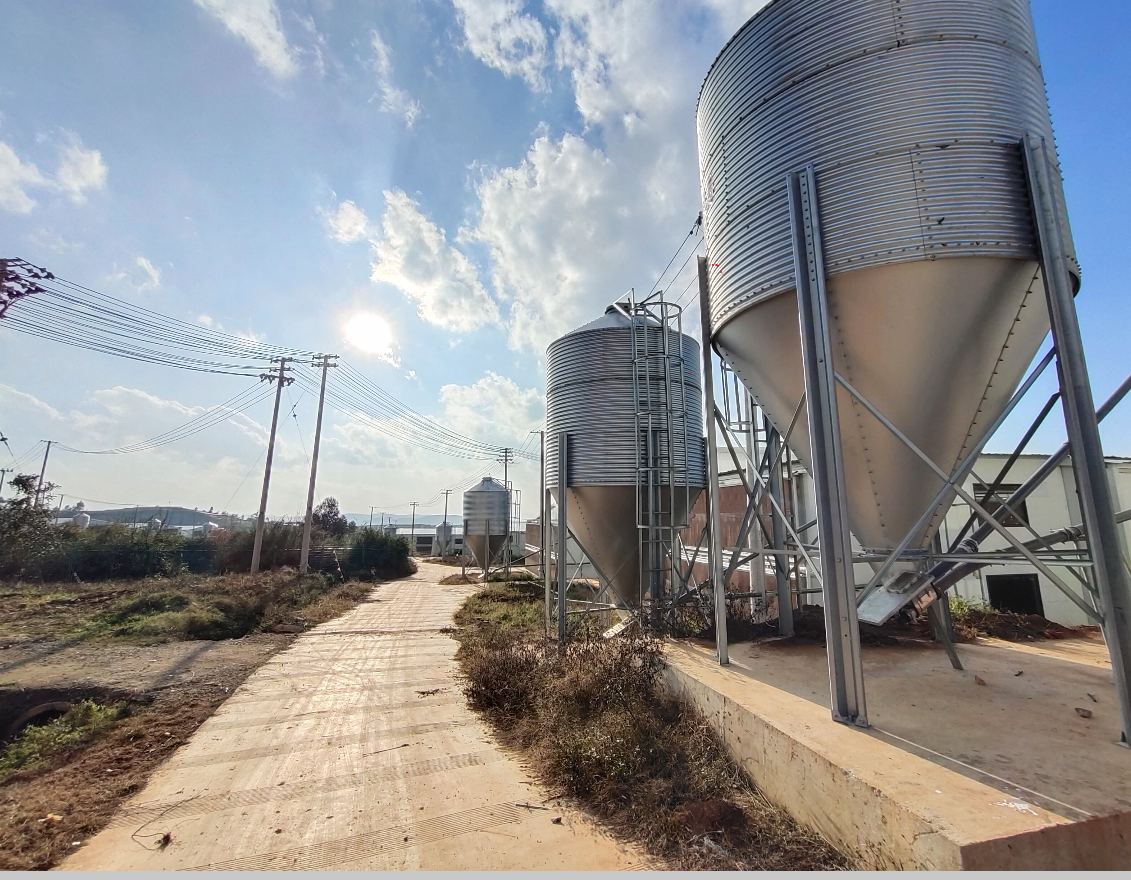 Feed silos for an automated poultry feeding system