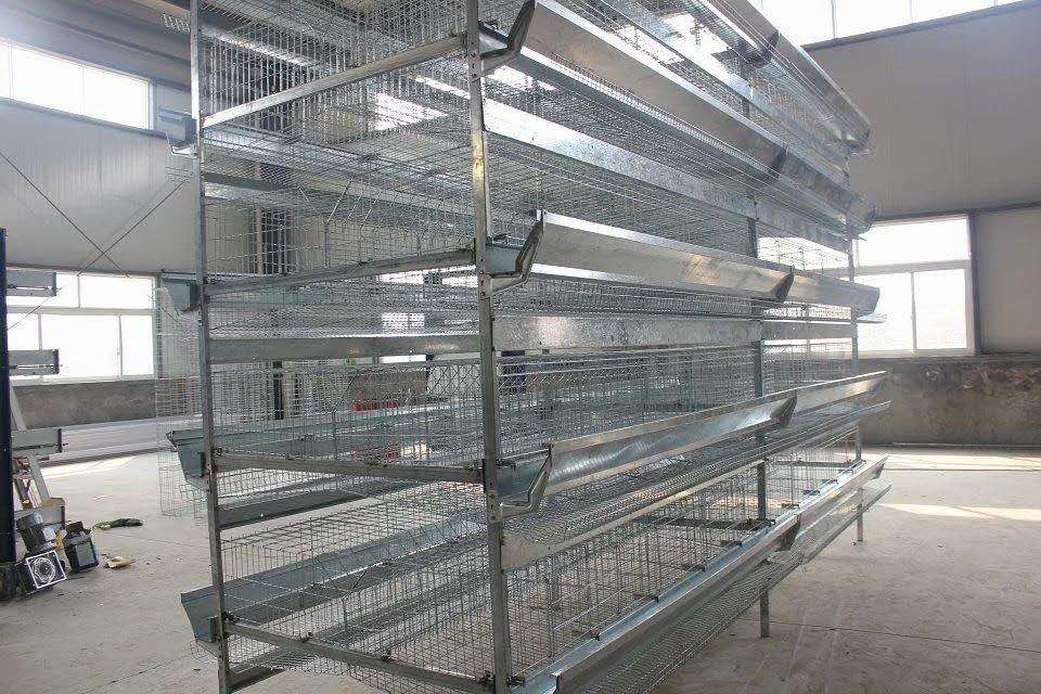Multi-tier layer cages for a commercial poultry house